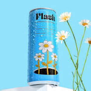 Flash drink 250 ml